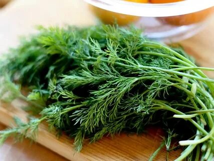 تصویر 5 از قیمت مناسب سبزی شوید خشک صادراتی + فروش عمده